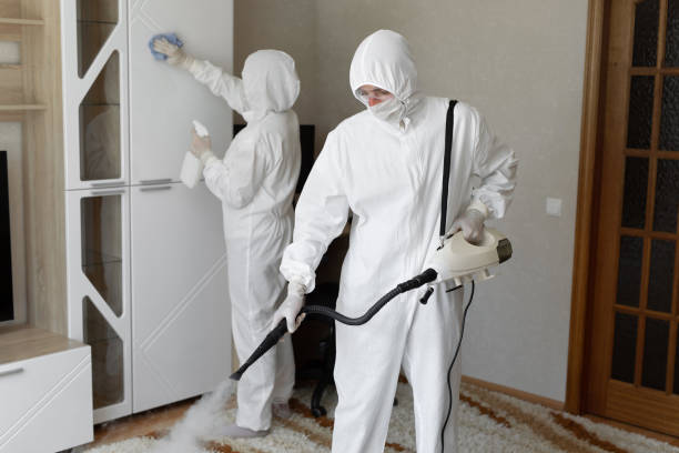 Affordable Infectious Disease Decontamination solutions in California City, CA