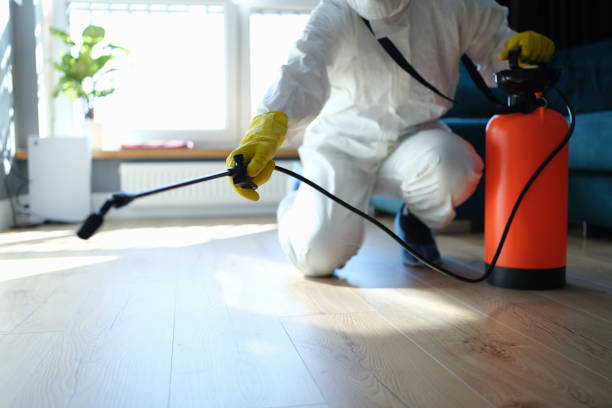 Reliable Infectious Disease Decontamination contractor in California City, CA by Crime Scene Cleaner Online